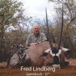 db_Fred-Lindberg-Gemsbuck1