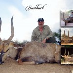 Bushbuck 1