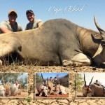 Eland 2