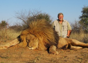 Lion 1