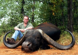 Buffalo 1